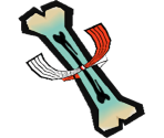 Holy Bone S - Okami HD