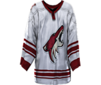 Phoenix Away - NHL 2005