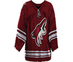 Phoenix Home - NHL 2005