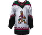 Phoenix Vintage 1996 - NHL 2005