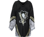 Pittsburgh Home - NHL 2005