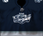 EA Storm Home (Unused) - NHL 2005