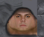 Boxer - Tony Hawk's Underground 2