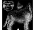 Dog - Tony Hawk's Underground 2