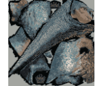 Aladar - Dinosaur