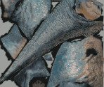 Aladar - Dinosaur