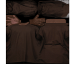 Brown Shirt - Grand Theft Auto: San Andreas