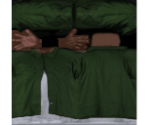 Green Shirt - Grand Theft Auto: San Andreas