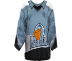Pelicans Home - NHL 2005