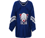 Linköping Home - NHL 2005
