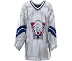 Linköping Away - NHL 2005
