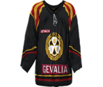 Brynäs Home - NHL 2005