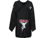 Köln Home - NHL 2005