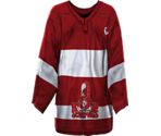 Hannover Home - NHL 2005