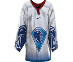 Ingolstadt Away - NHL 2005