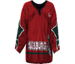 Augsburg Home - NHL 2005