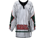 Augsburg Away - NHL 2005