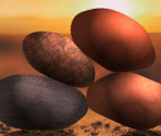 Rocks - Neal.fun Games