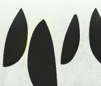 Rolling Egg / Black Yoshi Egg