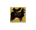 Cat - Dog's Life