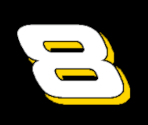 #8 U.S. Army - NASCAR 09