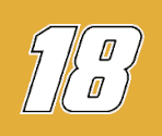 #18 M&M's - NASCAR 09