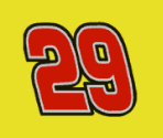 #29 Shell Pennzoil - NASCAR 09