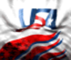 USA Home - Actua Ice Hockey