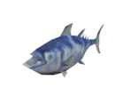 Frozen Tuna - Dark Cloud