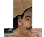 Distressed Wife's Husband - Tony Hawk's Pro Skater 4