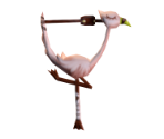 Flamingo - Dark Cloud