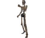 Skeleton - Final Fantasy 12