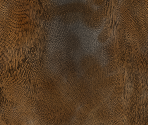 SCP-1048 - SCP Containment Breach
