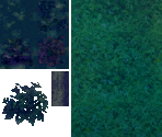 Emerald Grove Battles - Night - Etrian Odyssey