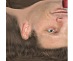 Tony Hawk - Tony Hawk's Pro Skater 4