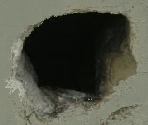 SCP-1162 - SCP Containment Breach