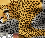 Ernst - Leopard Form - Suikoden 5