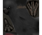Crow - Suikoden 5