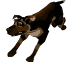 Dogs - The Cat! Porfirio's Adventure