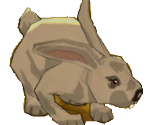 Hare - The Cat! Porfirio's Adventure