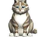 Lusha - The Cat! Porfirio's Adventure