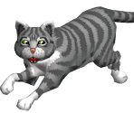 Porfirio - The Cat! Porfirio's Adventure