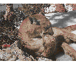Textures - Laura Beyer's DOOM