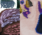 Blight - Suikoden 5