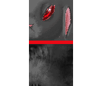 Dark Bunny - Suikoden 5