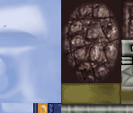 Greater Salamandy - Suikoden 5