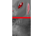 Killer Bunny - Suikoden 5