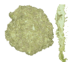 Vomit Pile - BMX XXX
