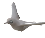Bird - AWAY: Journey to the Unexpected