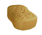 Sponge